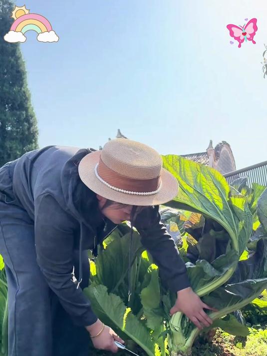 农家手工梅干菜 无沙免洗超省心