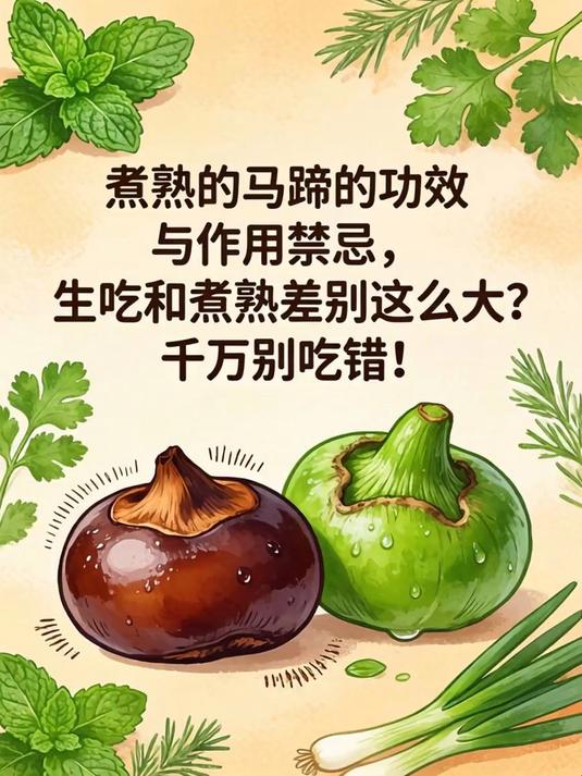 煮熟的马蹄的功效与作用禁忌，生吃和煮熟差别这么大？千万别吃错！