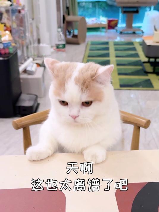 孵化鸡蛋