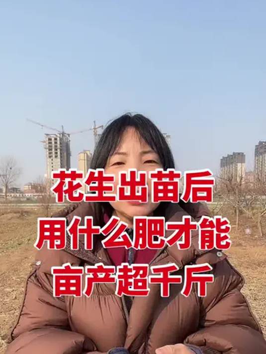 花生出苗后咋施肥?亩产超千斤有秘诀!