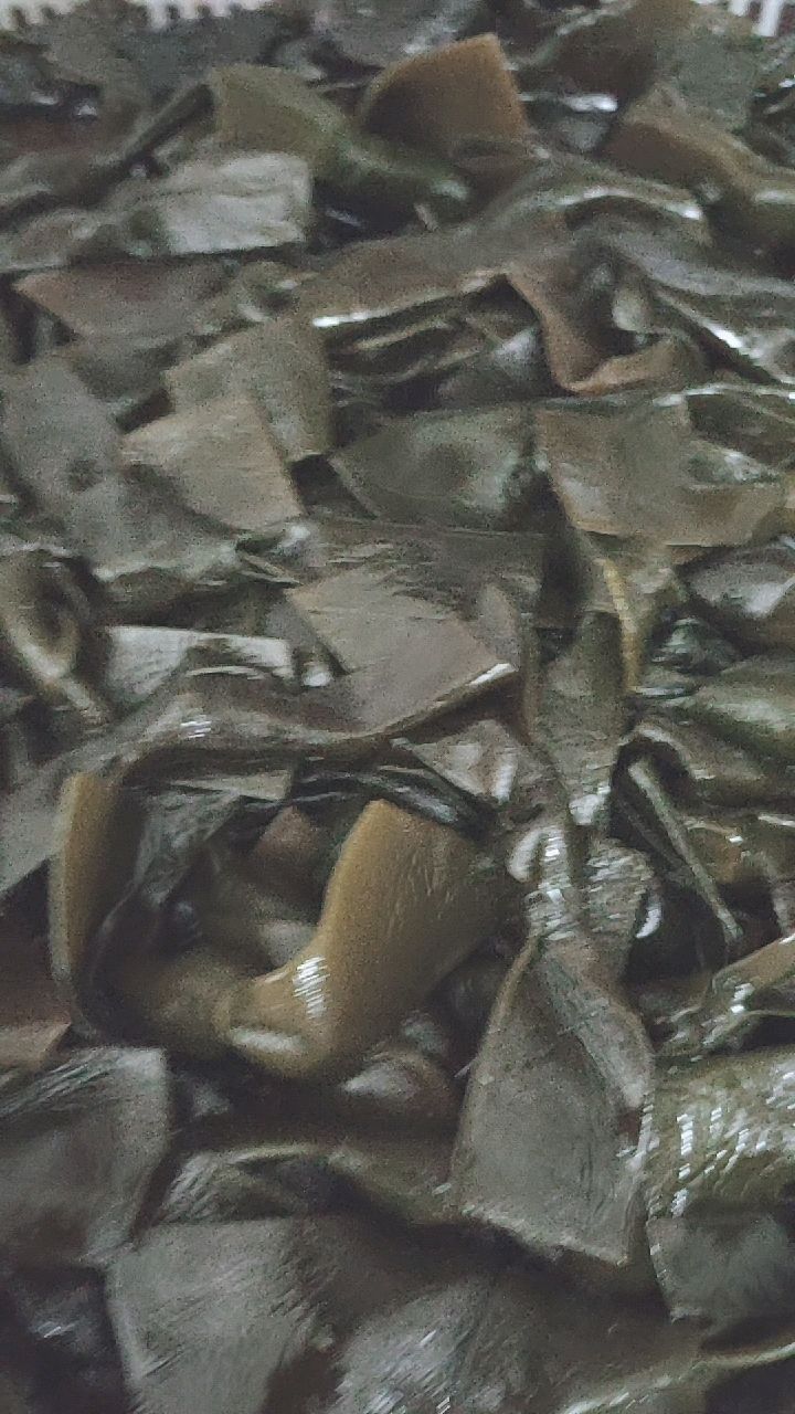老汤海带,藕片的制作