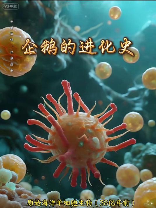 企鹅的亿年进化历程