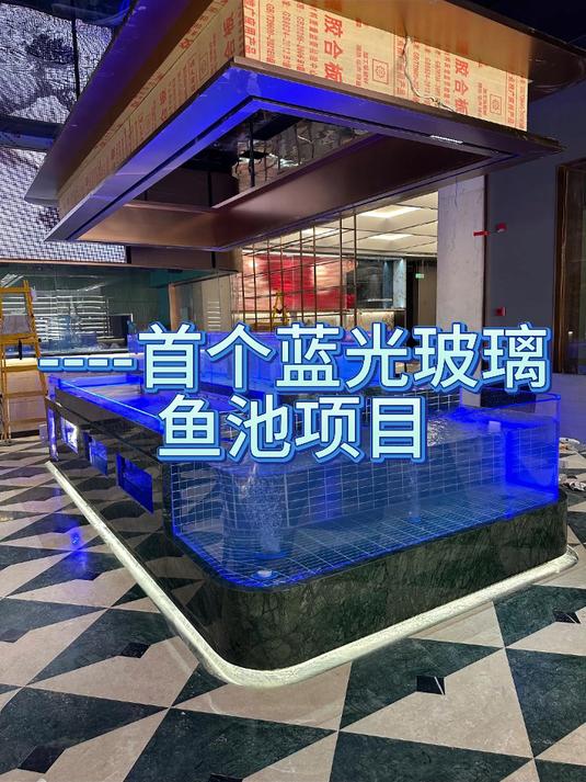 首款蓝光玻璃鱼池,真漂亮