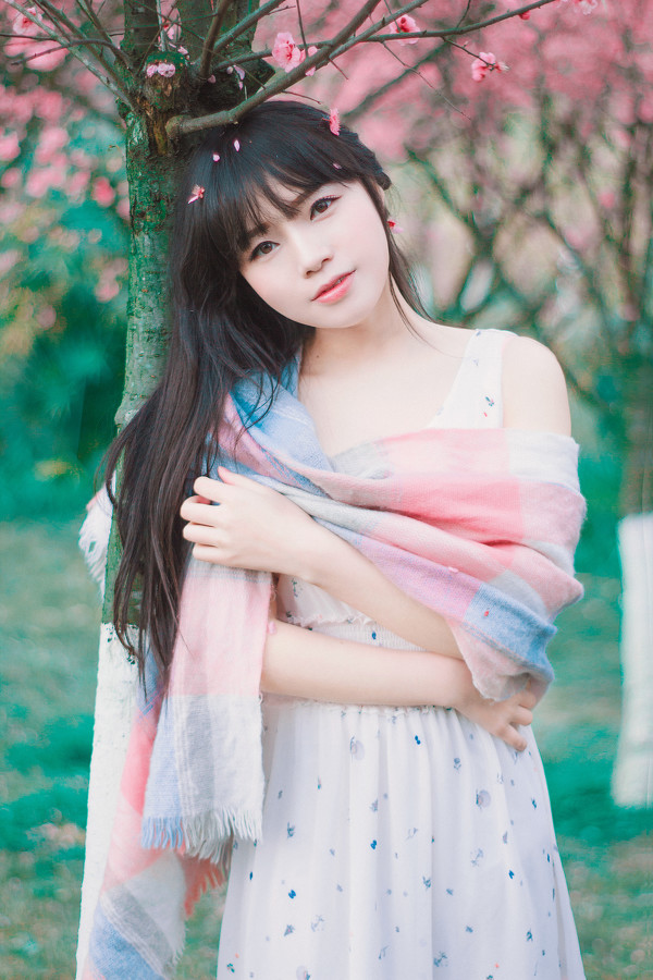 图片[8]-少女与樱-六色网