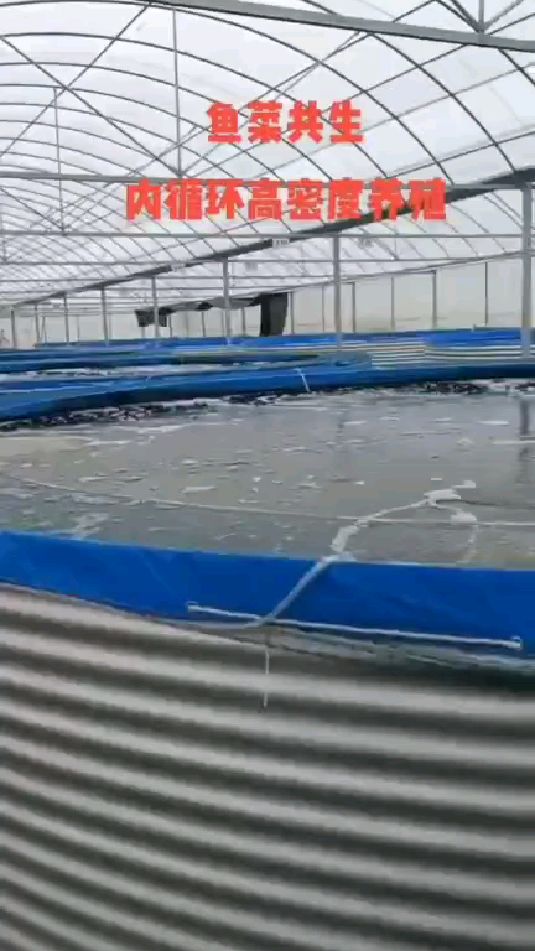 鱼菜共生水循环养殖