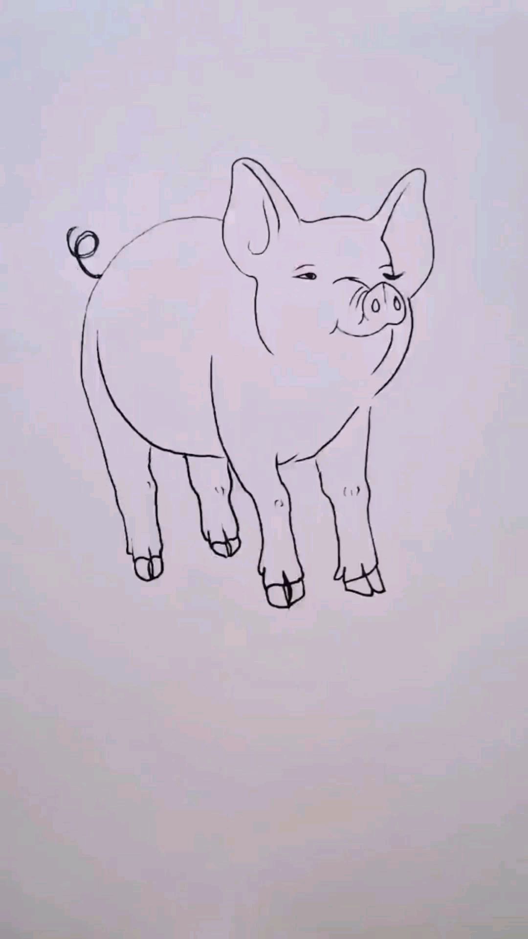 彩色铅笔画:画一头可爱的猪