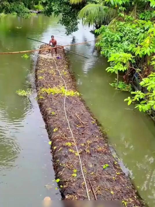 孟加拉国在水上建造菜园