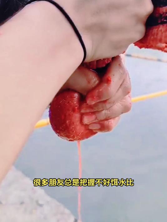 降温后饵料开出来没有状态,推荐你一种不用开饵的钓法