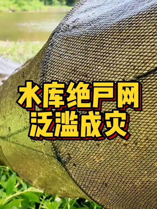 饮用水库禁止钓鱼,为何绝户网能大行其道?