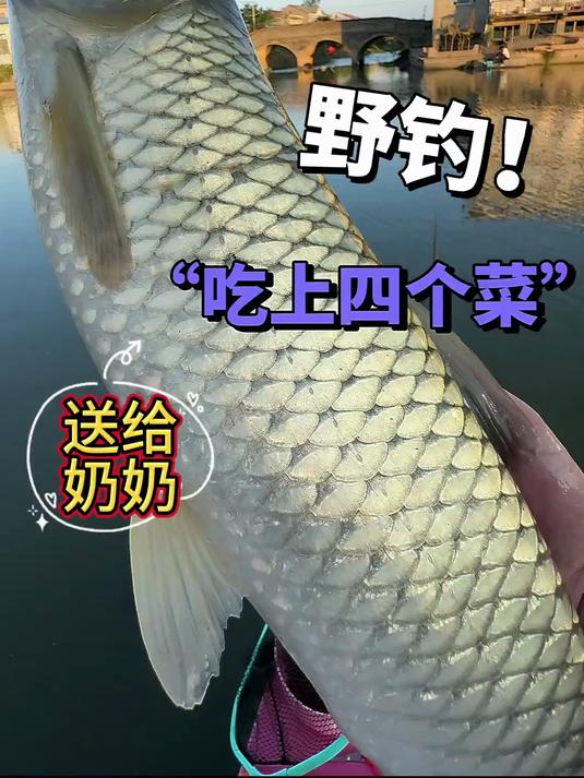今天出来野钓鲤鱼遇到一位老奶奶 今天鱼货都送她了