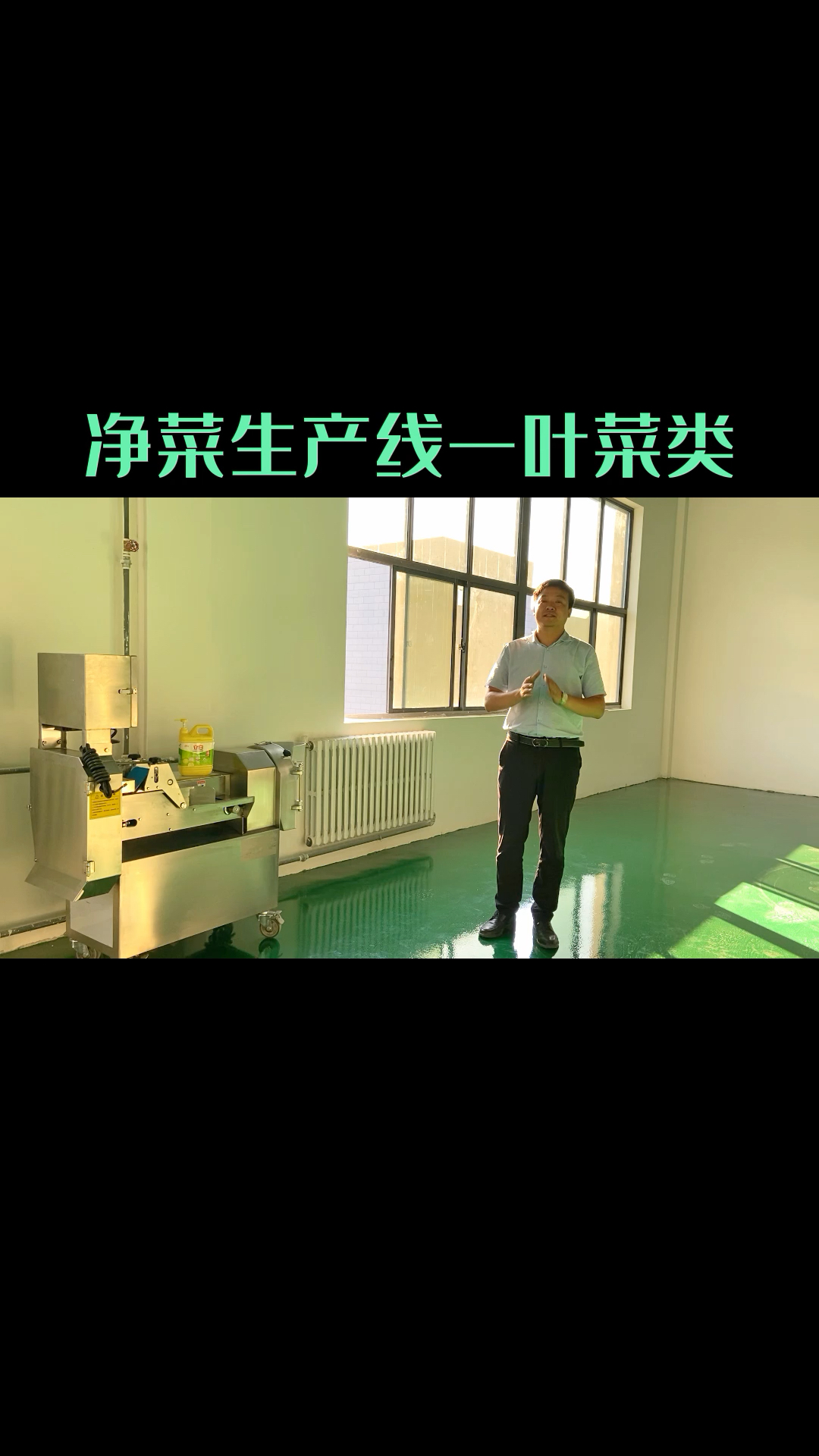 叶菜类-净菜加工生产线,菜东家为净菜加工企业提供整体解决方案。#净菜加工 #生鲜配送
