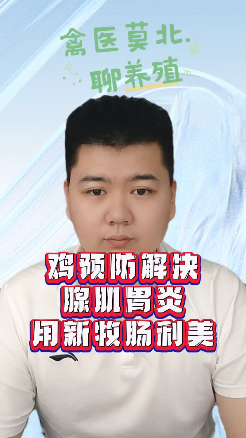 肉鸡腺肌胃炎引起的症状及原因肉鸡腺肌胃炎什么症状肉鸡的腺胃炎是怎么引起的