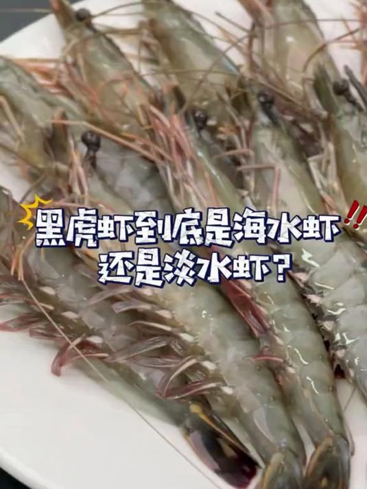 新鲜黑虎虾,肉质鲜嫩,家常做菜能用