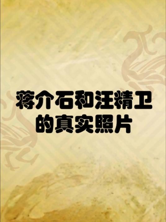 蒋介石和汪精卫的真实照片
