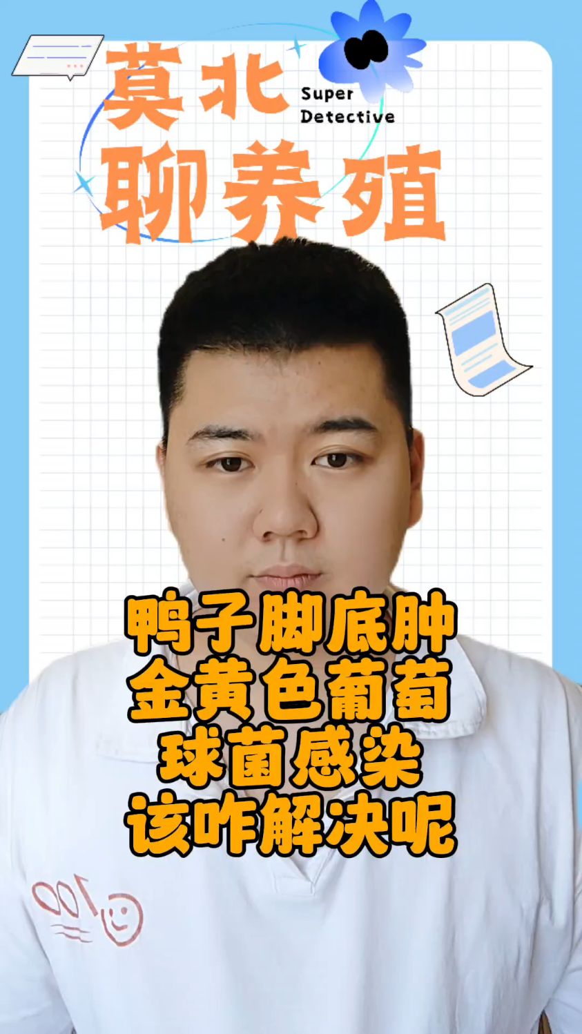 #鸭子脚长疙瘩是什么鸭子脚长疙瘩是什么引起的鸭子脚板上有包是怎么回事鸭子脚掌有很大