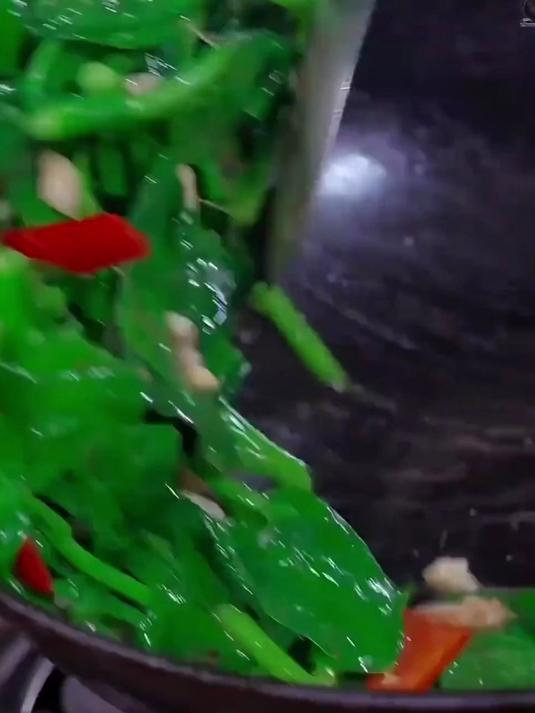 封闭阳台也能种,木耳菜种耐弱光,随吃随摘更新鲜
