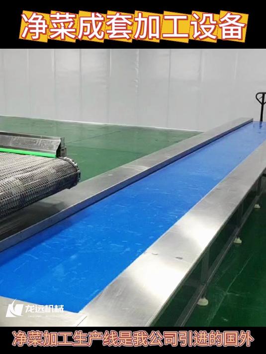 果蔬净菜清洗流水线 加工定制