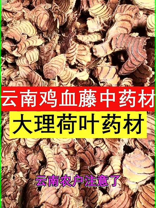 云南鸡血藤中药材