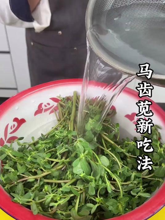 马齿苋新吃法
