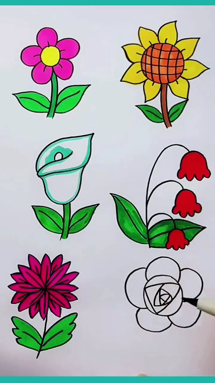 如何画花简笔画,各种花的画法