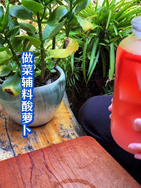 泡酸萝卜 专门用来炒菜吃的酸萝卜这样泡酸脆爽口独爱炒鸡吃一绝