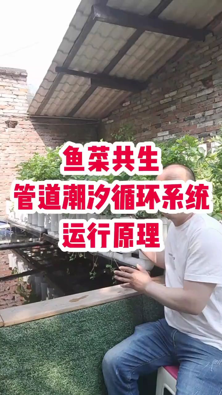 16秒看懂鱼菜共生管道潮汐系统运行原理