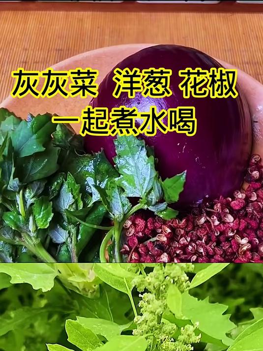 灰灰菜加洋葱和花椒一起煮水喝