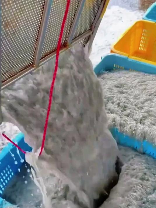 鲜掉眉毛！银鱼炒蛋香到舔盘，家常快手菜天花板！这样做好好吃！