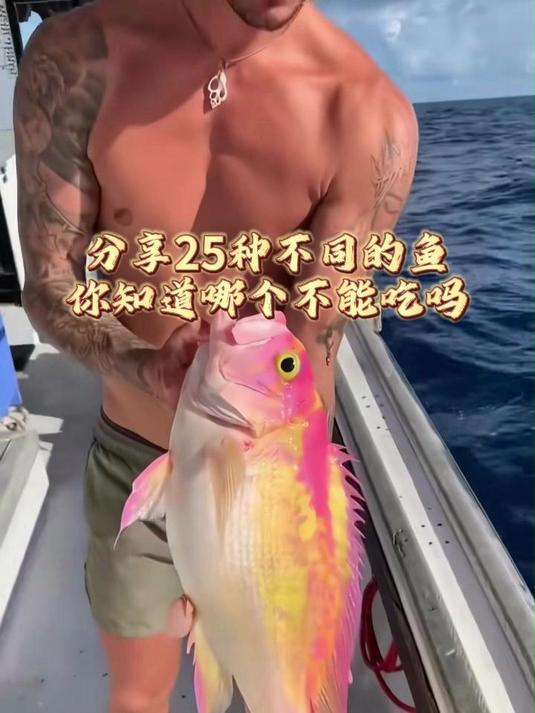 分享25种不同的鱼你知道哪个不能吃吗