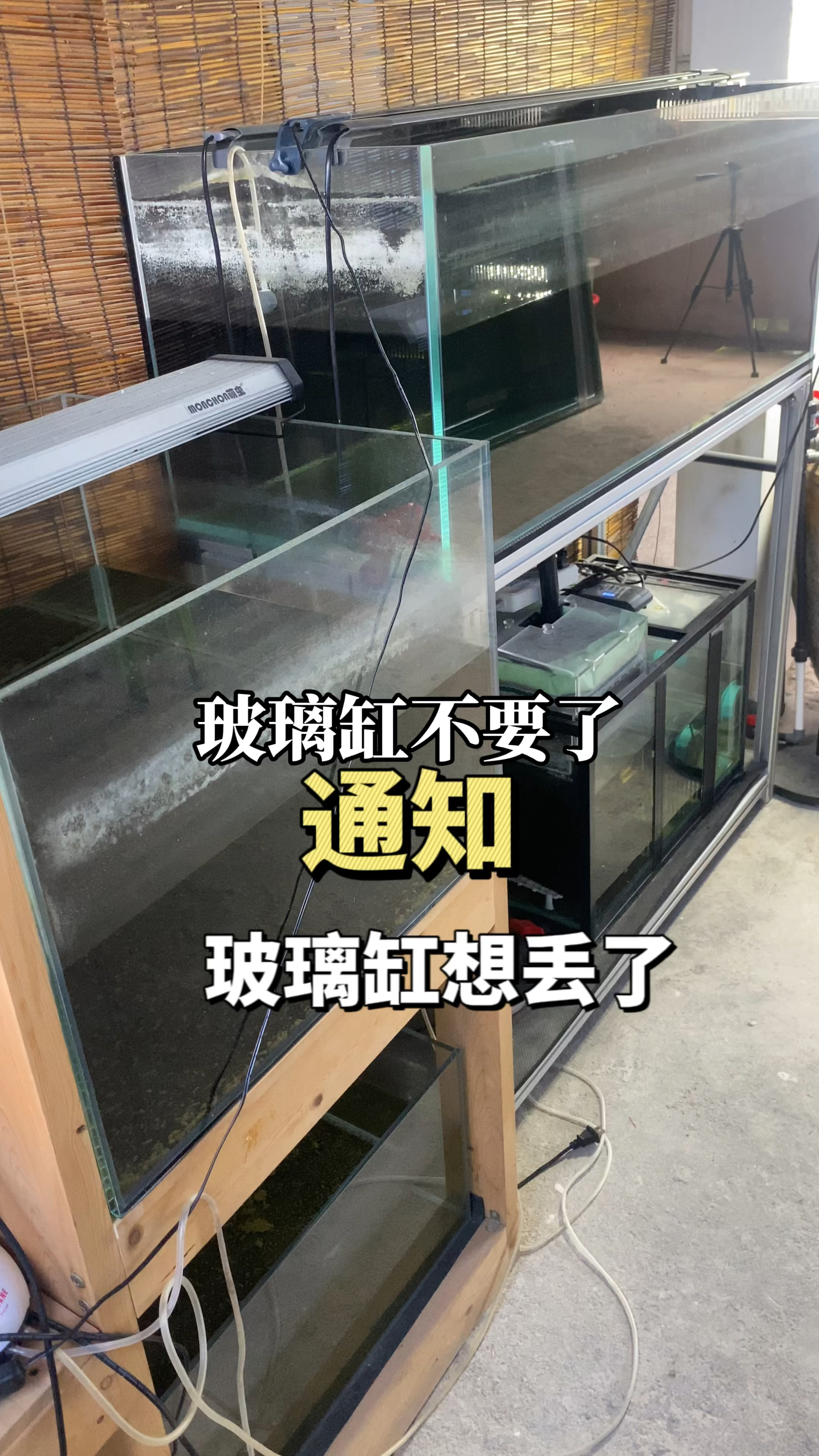 金鱼养久了,玻璃缸就想丢掉