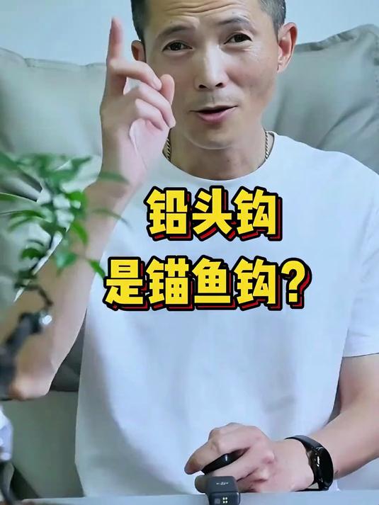 铅头钩是新型锚鱼钩吗？路亚钓鱼运动该何去何从？#优质视频激励计划#