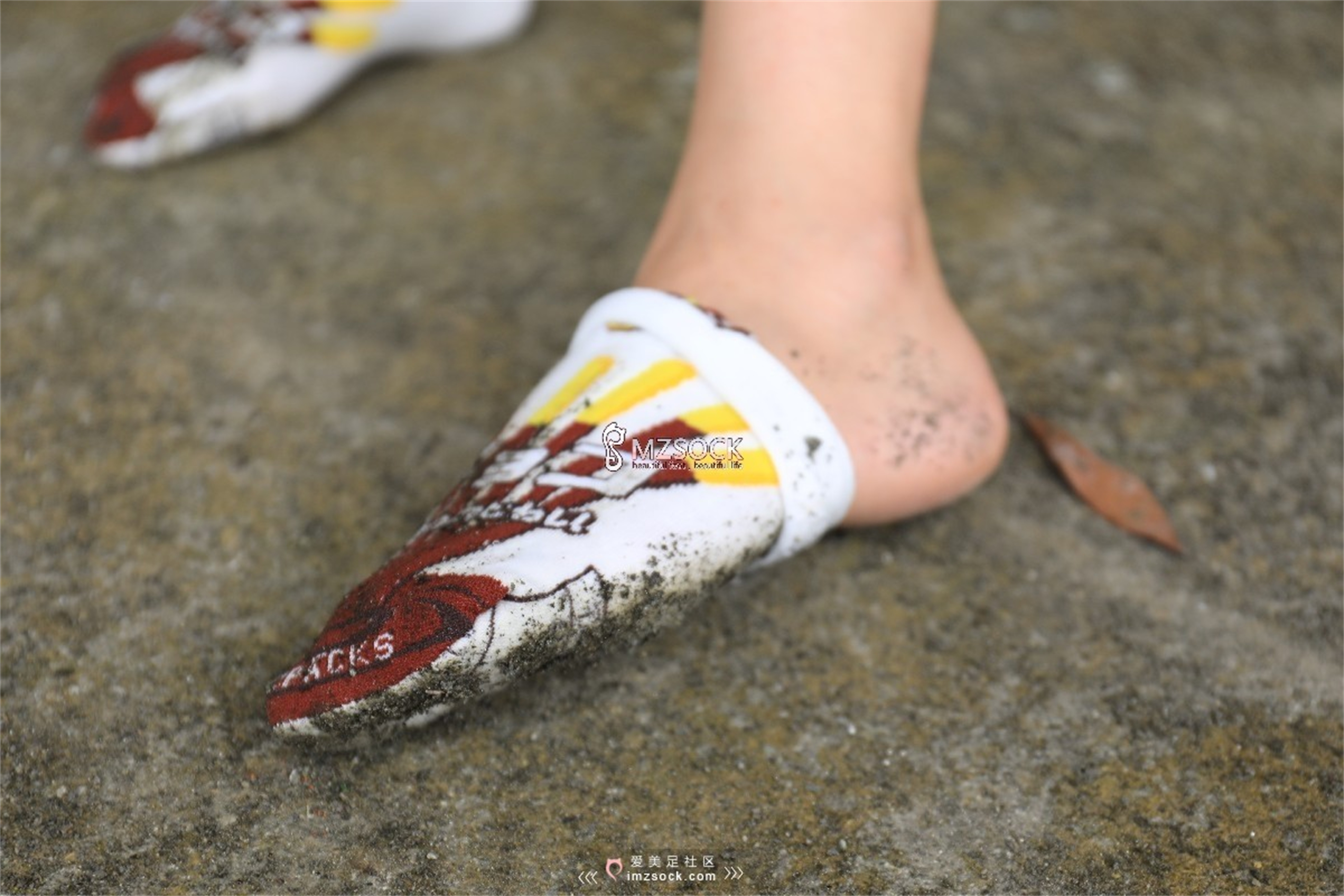 图片[93]-[MZSOCK]爱美足 NO.049 悦悦[122P403M]-六色网