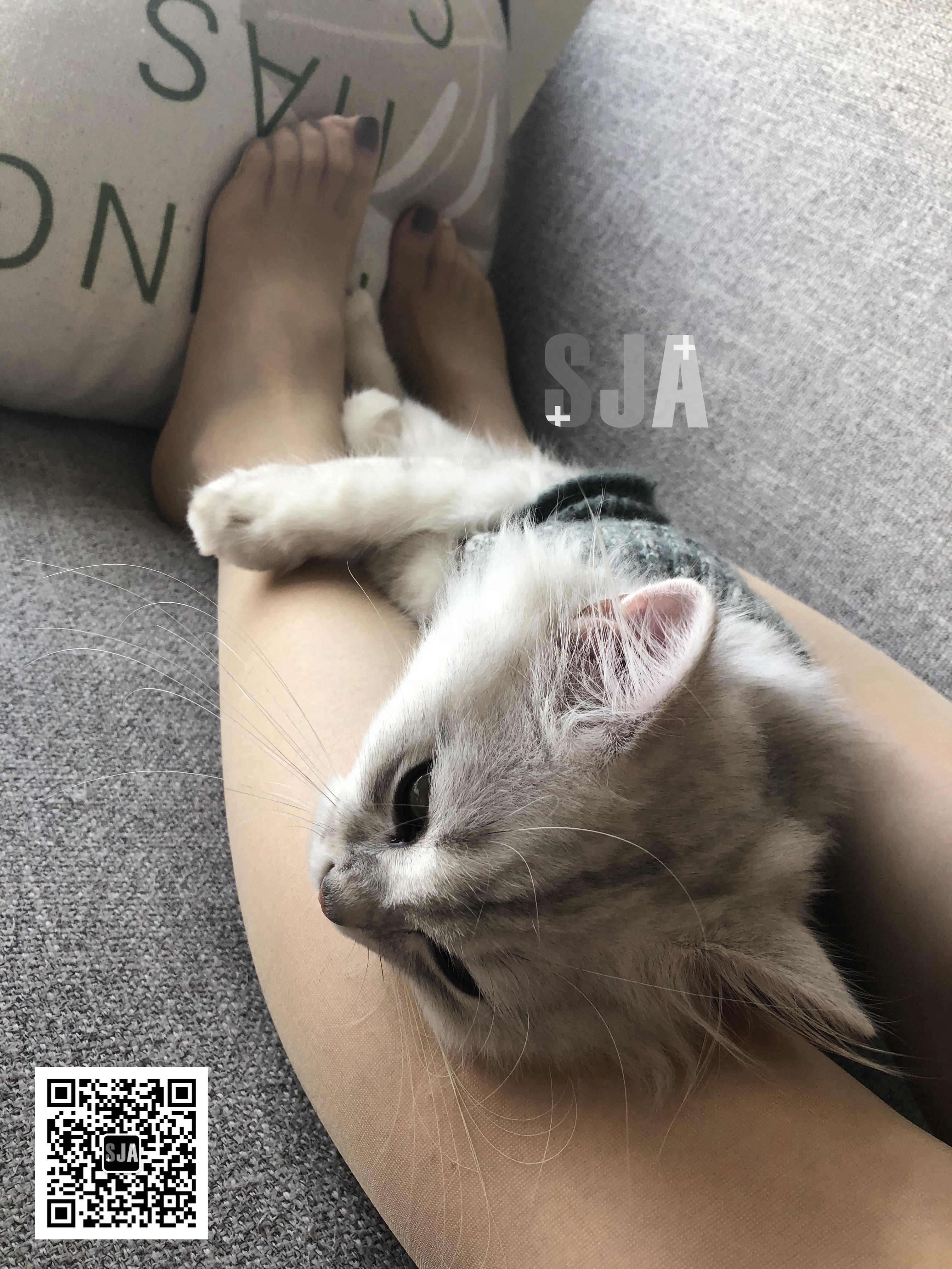 图片[7]-[SJA佳爷]闺蜜视角 NO.013 喵 [60P+81M]-六色网