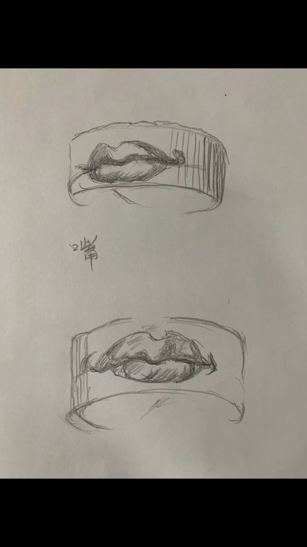 人体结构素描临摹(上)