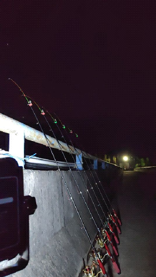 小寿头柱串钩中鱼