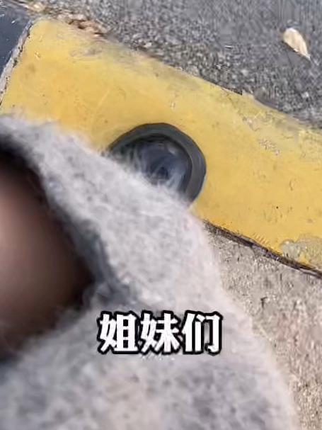 这鸭子也太抽象了吧,晒一下就变成了烤鸭,买它买它
