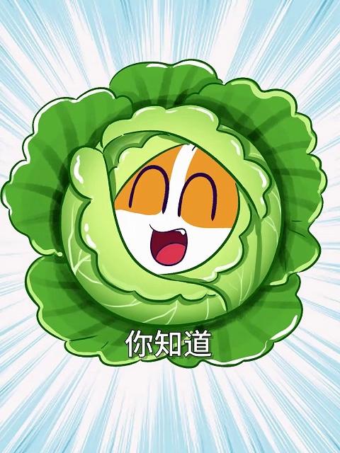 包菜为啥要把自己包起来?