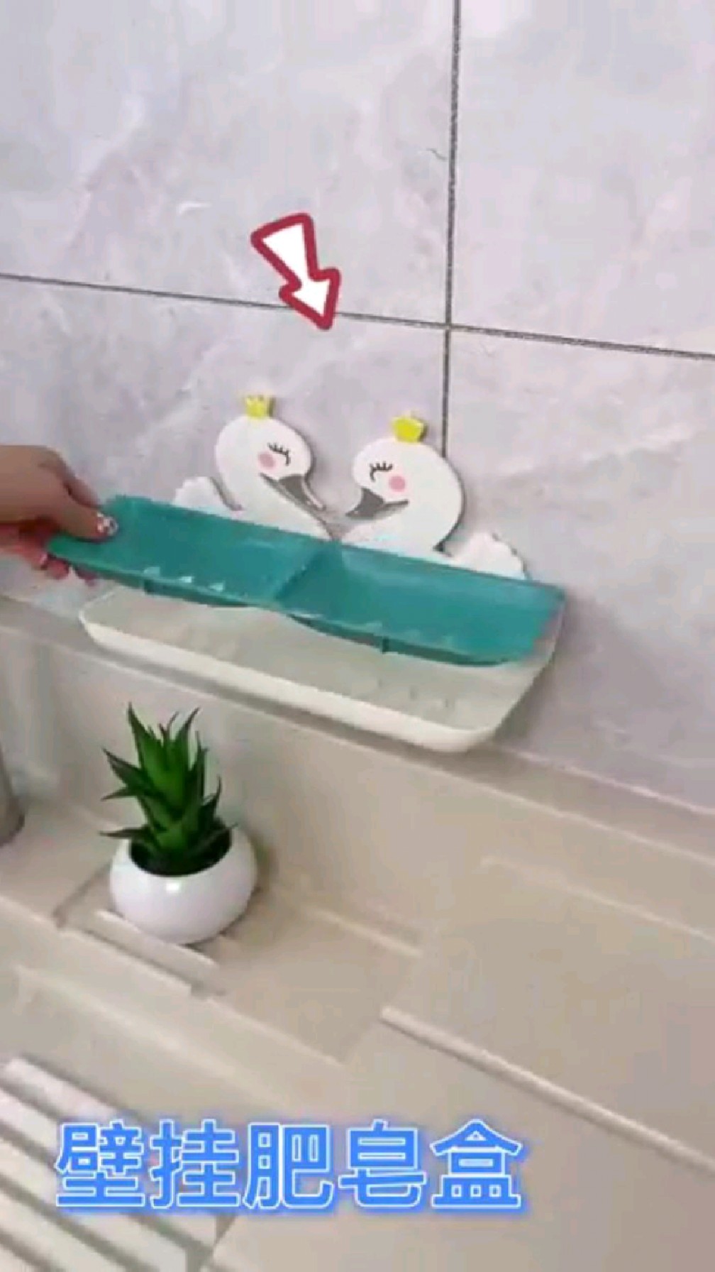 小天鹅卡通《壁挂肥皂盒》