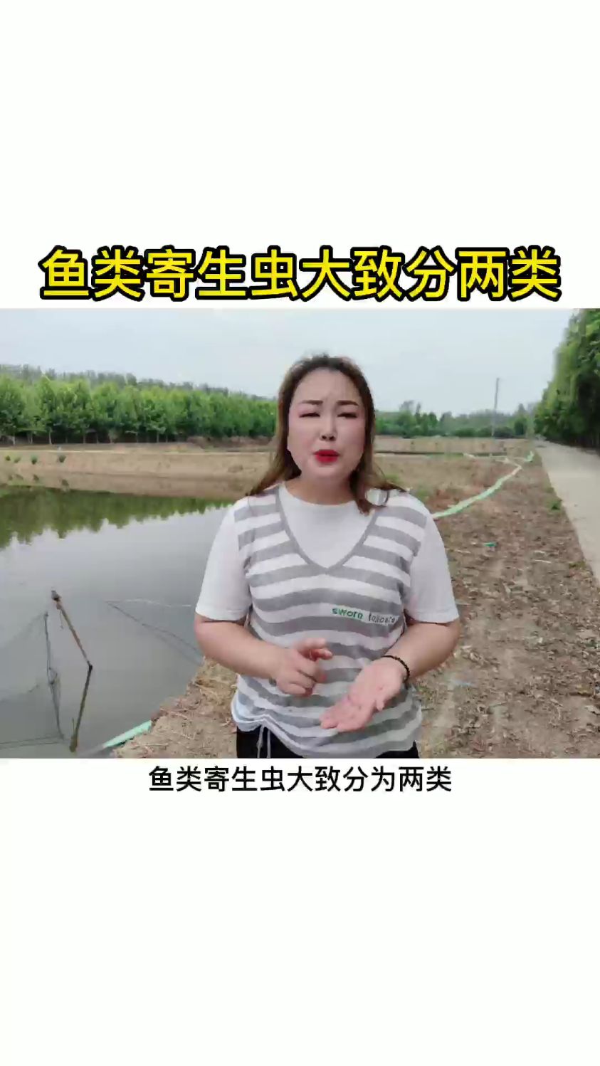 鱼类寄生虫大致分为两类鱼虾蟹养殖海参养殖南美白对虾养殖水产技术