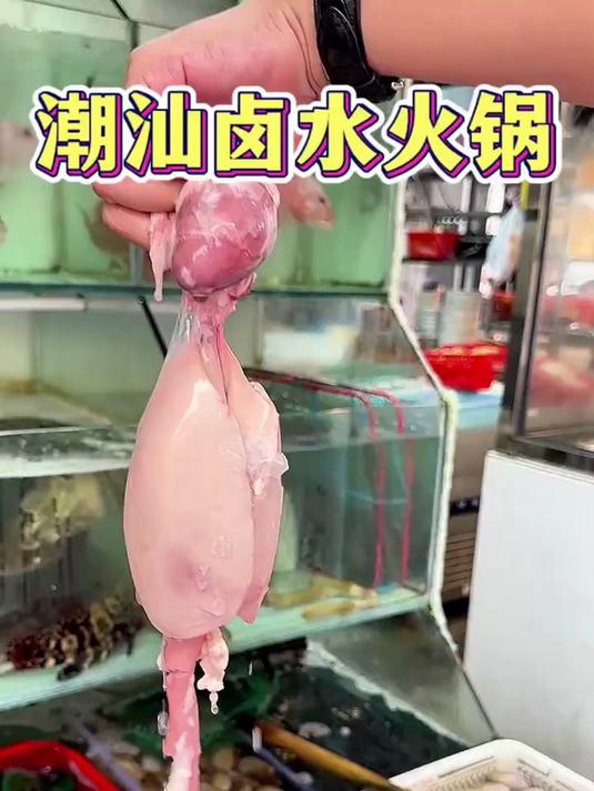 潮汕特色卤水火锅,粉肝一口下去入口即化真的香迷糊了