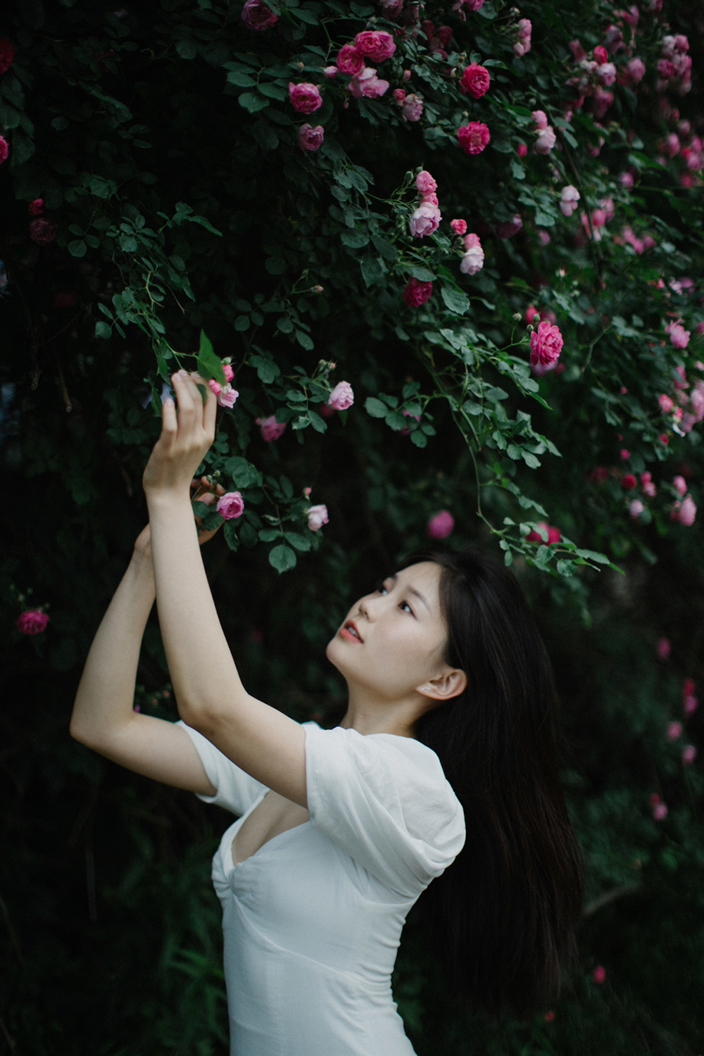图片[3]-在那年夏天-六色网