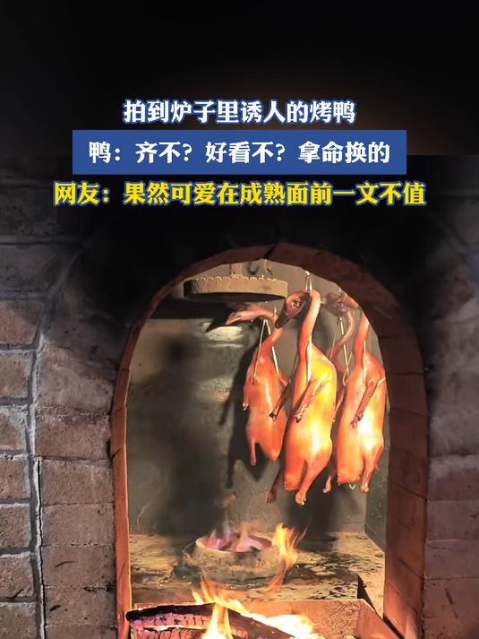 拍到炉子里诱人的烤鸭,鸭:齐不?好看不?拿命换的