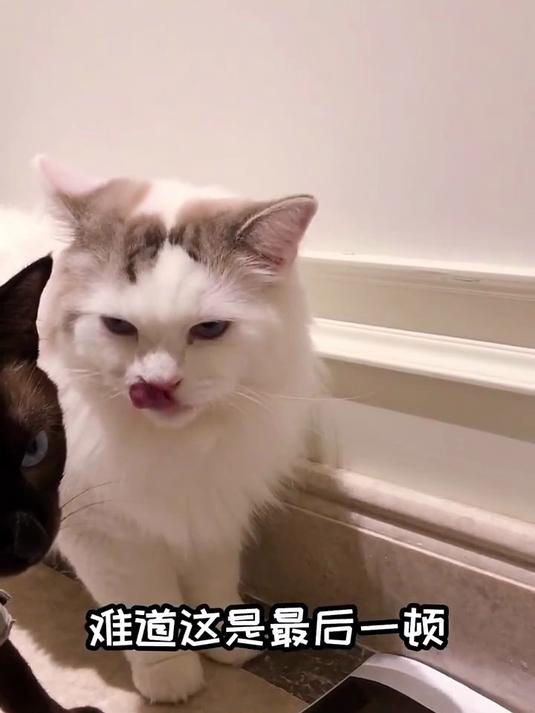 哎,我们啥时候能成富三代呀
