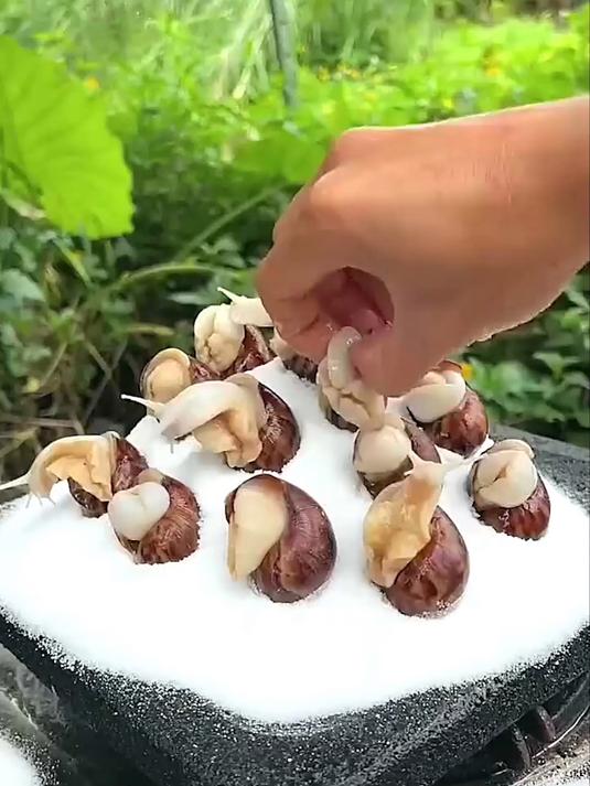 老人孩子专属食疗食谱 百病食疗科学搭配 清淡营养好吸收健体。#食疗书籍##百病食疗方##健