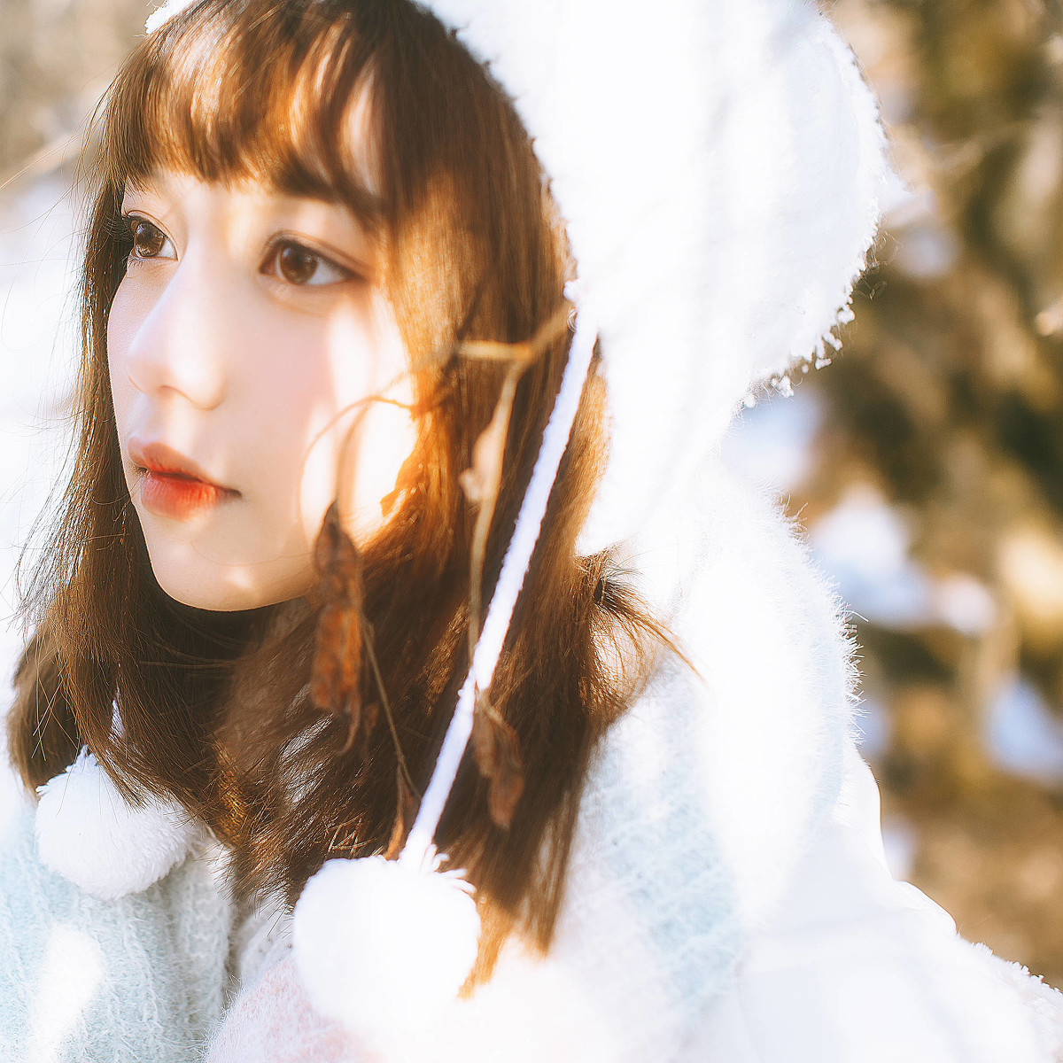 冬雪-六色网