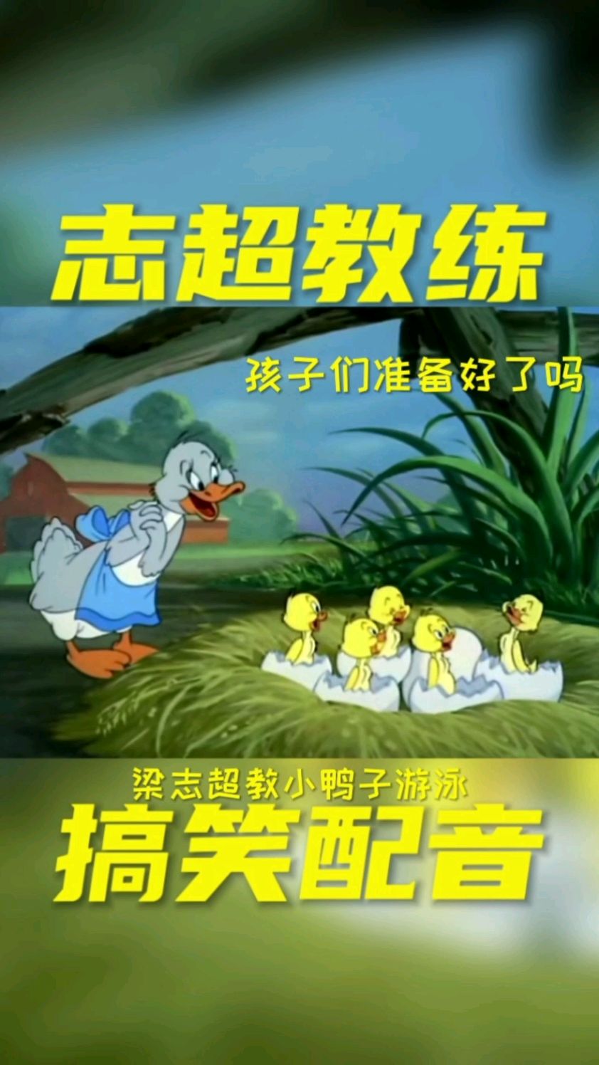梁志超教小鸭子游泳 教的有模有样
