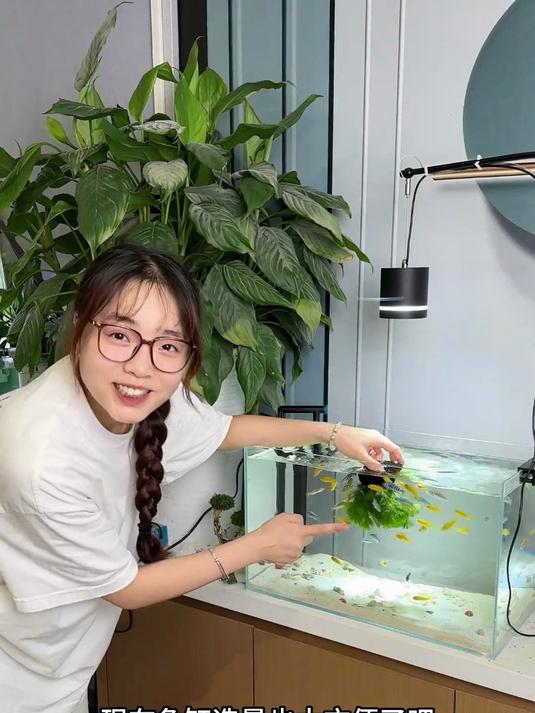 现在鱼缸造景也太方便了吧,只要把它扔进去,就是一道风景线