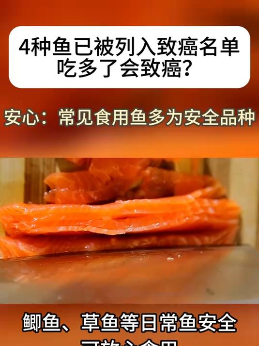4种鱼已被列入致癌名单 - 安心:常见食用鱼多为安全品种