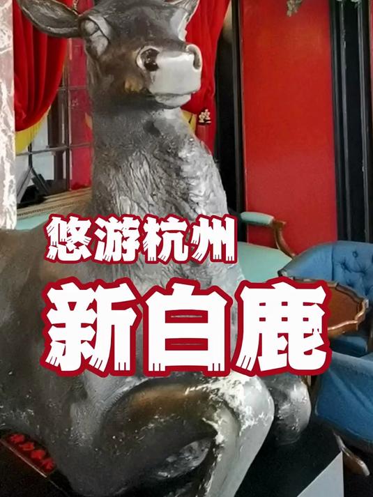 杭州美食日记新白鹿餐厅#感悟#