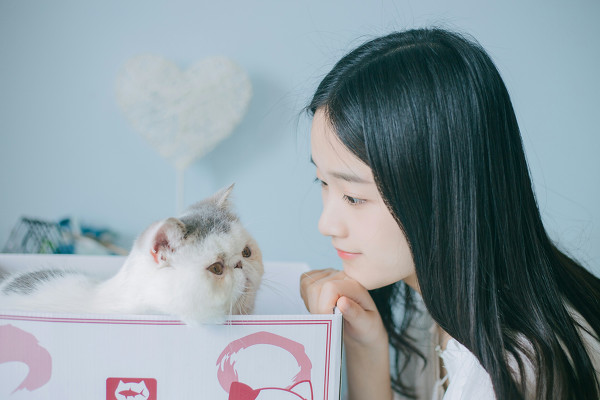 图片[4]-少女和猫-六色网